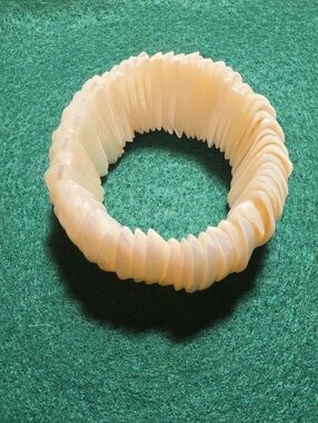 Pearlescent Shell Disk Stretch Bracelet